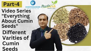 Everything About Cumin SeedsVideo Series Part 4 Different varieties of Cumin Seeds Indian Spices [upl. by Meredith]