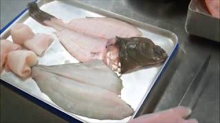 Plaice  How to Fillet [upl. by Edette]