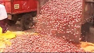 Maharashtra How political ambitions fuel rising onion prices [upl. by Hanej]