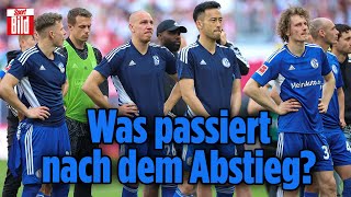 Schalke 04 Der TränenAbstieg in die 2 Liga  Lage der Liga [upl. by Adnylem]