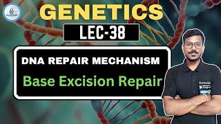 DNA REPAIR MECHANISMBASE EXCISION REPAIR GENETICS38 [upl. by Noiraa]