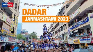 Janmashtami 2023 A Peek Inside DahiHandi Celebrations In Dadar [upl. by Areema]