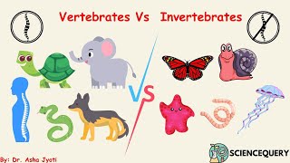 Vertebrates vs Invertebrates [upl. by Emera]