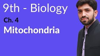 Matric part 1 Biology Mitochondria Biology  Biology Chapter 4 Cell biology  9th Class [upl. by Mario]