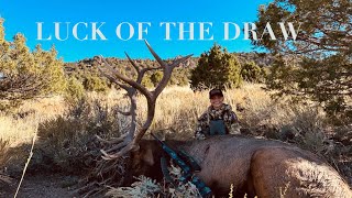 Luck Of The Draw  2023 LE Muzzleloader Elk [upl. by Hatcher]