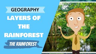 Geography  Rainforest Layer Cake Primary School Geography Lesson [upl. by Iarised386]