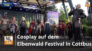 Elbenwald Festival in Cottbus  Cosplay Kostüme und Contest  Eindrücke vom letzten Jahr [upl. by Golda873]