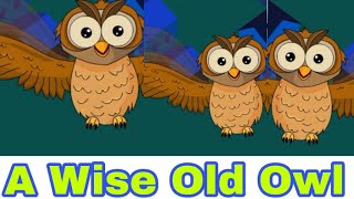 A Wise Old Owl with lyrics  Nursery Rhymes by Amazing entertainment 2021 [upl. by Aelhsa]