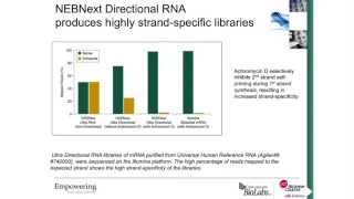 Biomek Automated NEBNext Ultra Directional RNA Library Prep Kit for Illumina [upl. by Pownall656]