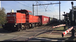 DB Cargo Diesel locomotive 6469 with Wetron Shuttle Container Train at Blerick NL 🇳🇱 November 52024 [upl. by Otrebron]