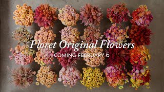 Coming Soon Floret Original Flowers [upl. by Rimaa151]