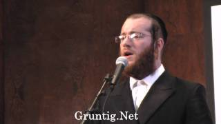 Chazan Yaakov Lemmer  LeZaracha [upl. by Arman237]