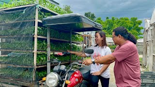 53 GREENHOUSES 20000 SEEDLING TRAYS LAHAT PREORDERED Ito na ang BEST FARM BUSINESS [upl. by Penhall]