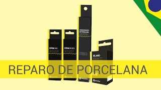 Técnica para Reparo de Porcelana  Dentística e Prótese [upl. by Eiramanin]