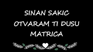 SINAN SAKIC OTVARAM TI DUSU MATRICA [upl. by Elockin]