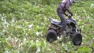 QUAD 250 BASHAN ATV [upl. by Ahsitruc]