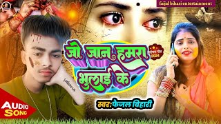 sad song जो जान हमरा भुलाई के faijal bihari  jo jan hamra bhulai ke 2024 [upl. by Essex]