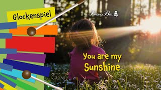 You Are my Sunshine on the Glockenspiel  Xylophone  Easy Tutorial [upl. by Affrica]