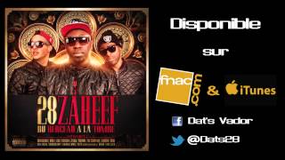 DATS x PROLIFIK 28 ZAHEEF Feat LECK  TROP HOOD  ALBUM DANS LES BACS 2013 [upl. by Ellemaj]