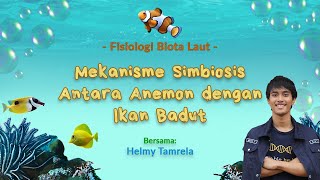 Mekanisme Simbiosis Anemon dengan Ikan Badut [upl. by Toulon]