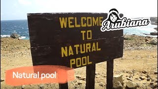 NATURAL POOL  Arubiana UTV amp Buggy rental in Aruba [upl. by Zavras]