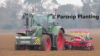 Fendt Planting Parsnips [upl. by Meng200]