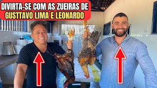 Top 10 Mitagens Gusttavo Lima e Leonardo em Situações Hilárias [upl. by Tamara]