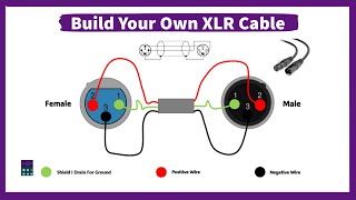 How To Build Your Own XLR Cable Wiring Diagram I XLR Connector [upl. by Garnett]