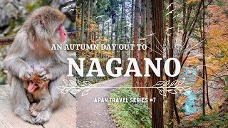 AUTUMN DAY TRIP TO NAGANO  Visiting the famous Monkey Park  ft Karuizawa Prince shopping plaza [upl. by Silva887]