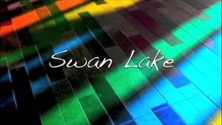 Swan Lake Remix [upl. by Teerprug571]