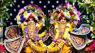 Gaura Purnima 2024 at ISKCON Boston temple [upl. by Jerol]