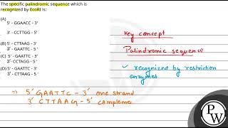 The specific palindromic sequence which is recognized by EcoRI is [upl. by Farrison798]