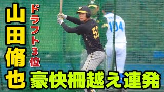 【フリー打撃】ドラ3・山田脩也、打撃練習で豪快ホームラン！高々と舞い上がった打球は防球ネット上段に突き刺さる【阪神春季キャンプ】2024216 [upl. by Elolcin]