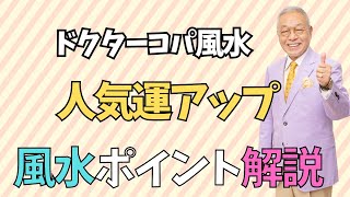 【人気運アップの一日！！】八角ボールペン・替え芯の交換方法・龍を味方にSyo×Ryuデスクマット [upl. by Sivrep]