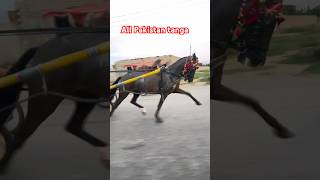 Horse racing in Pakistan 🇵🇰 [upl. by Kaitlin409]