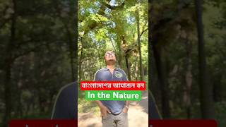 বাংলাদেশের আমাজন বন  In the beautiful Nature  shortsfeed shortvideo naturelover [upl. by Nnaj]