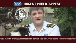 RSPCA Biggest Animal Rescue [upl. by Llehcnom652]