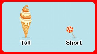 Tall and Short Comparison for Kids Toddlers Children  Educational Videos [upl. by Otaner611]