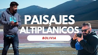 ¡Descubre los Secretos Ocultos del Desierto Boliviano 🌄 Flamencos Lagunas Rojas y Tesoros Andinos [upl. by Gabi298]