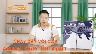 Dây cáp mạng ALANTEK Cat6 UTP 4pair  Cáp mạng AMPCommscope [upl. by Betz]