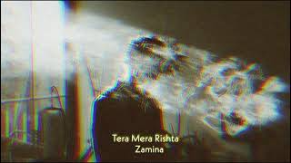 Tera Mera Rishta slowedreverb  Mustafa Zahid Zamina [upl. by Kall73]