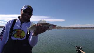 Trolling Leadcore to Target Deep Walleye In Cold Water [upl. by Qulllon]