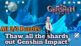 Thaw all the shards out Genshin Impact All 33 Puzzles [upl. by Kohsa]