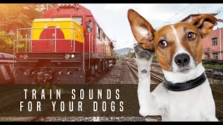 Train Sound Dog Desensitization Sound Noise for Puppy Dog Socialization [upl. by Lynette]