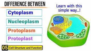 Difference among Cytoplasm Protoplasm Nucleoplasm and Protoplast  J Biology [upl. by Brink828]