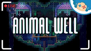 ANIMAL WELL PL 5 LIVE  mały FINAŁ  Gdy gra zaczyna się wtedy gdy się kończy   Zapis LIVE [upl. by Donata17]