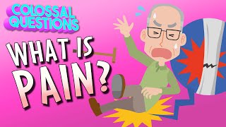 What Is Pain  COLOSSAL QUESTIONS [upl. by Vita933]