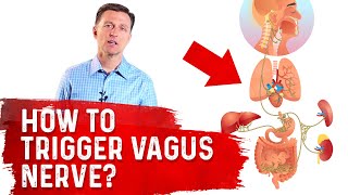 How To Trigger Vagus Nerve – Dr Berg [upl. by Gulgee]