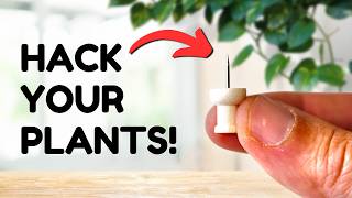 Top 10 Plant Hacks Everyone Should Know [upl. by Atirabrab]