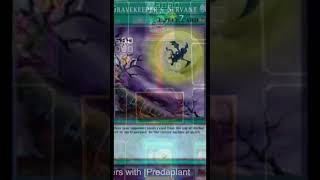 THIS MILL DECK IS AWESOME 🤣 DUEL LINKS duellinks yugioh [upl. by Pero]